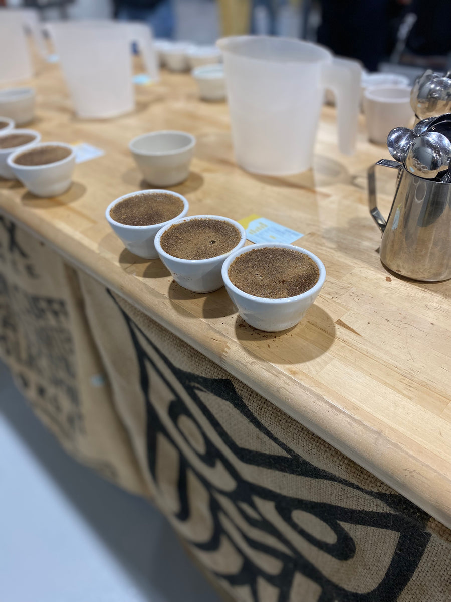 Coffee Cupping at Yellow Rooster Coffee Imports – Nona Coffee Roasting ...